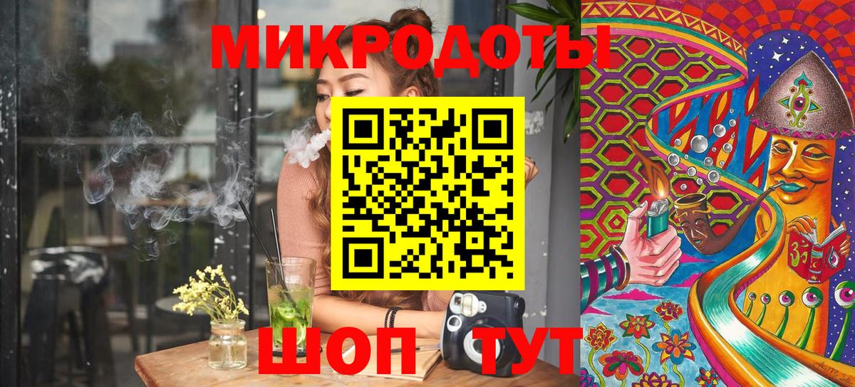 Курчалой  Псилоцибиновые грибы Cubensis  Вход с VPN 