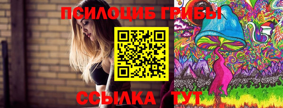 Галлюциногенные грибы мицелий Курчалой